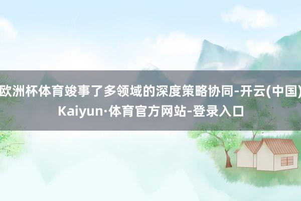 欧洲杯体育竣事了多领域的深度策略协同-开云(中国)Kaiyun·体育官方网站-登录入口
